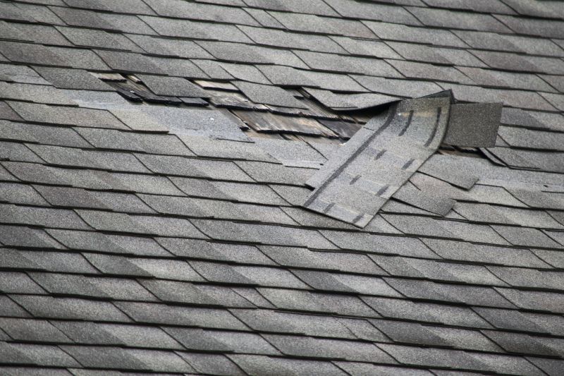 Roof Repair and Maintenance